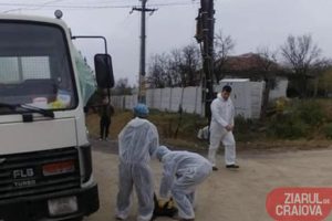 143D7C57-15C3-420C-B1D6-651D69260108