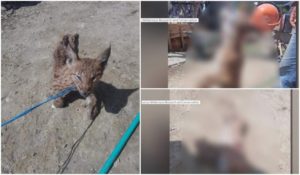 1E641B49-01E0-46F2-95A4-1E0775EE3CDC