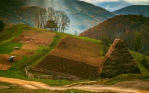 AA2637F3-5A37-4D09-9D65-60C441A72A30