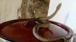 B7AAC070-C11C-4AD7-B58C-BCB274F35174