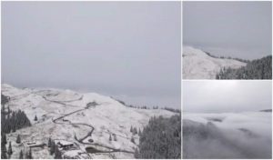 09D7D5F4-AA73-44D2-B540-0E168E21CF9E