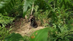 3D458F08-7F33-4321-BB2B-84D3A581AF0F