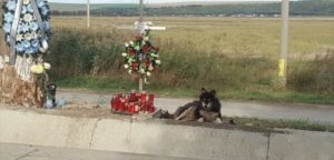 49CB78BF-F16B-4C19-BC40-FFA20AA16CC7