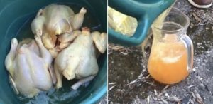 511DC145-9372-498E-A2EF-9113A177D710