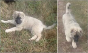 C3D2A57B-B9F3-4373-A2A9-4C8E1A540A27