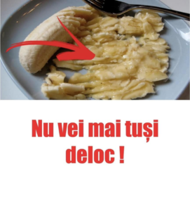 241194744_10158650761267266_7979992998221123099_n