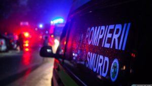 media-172582445740145500