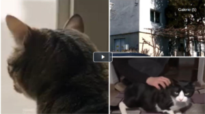 Screenshot 2026-03-15 103315