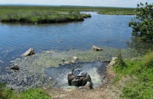 Staţiunea cu ape minerale şi nămoluri dintr-o comună din Dolj, transformată în complex balneoclimateric. Valoarea investiţiei: 3 milioane de euro