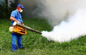 Începe a patra etapă de dezinsecţie terestră în Craiova