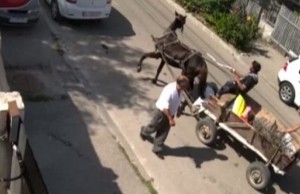 O căruţă a intrat într-o maşină parcată pe o stradă în Craiova