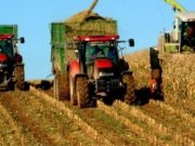 Comisia de muncă din Senat: Pensiile foştilor membri ai cooperativelor agricole, majorate de la 350 de lei la 500 de lei