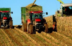 Comisia de muncă din Senat: Pensiile foştilor membri ai cooperativelor agricole, majorate de la 350 de lei la 500 de lei