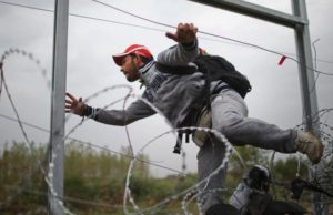 Timis: 30 de imigranti, prinsi in timp ce incercau sa intre ilegal in Romania