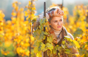 De ce apare astenia de toamna