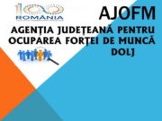 Peste 3.700 persoane angajate prin Programul Judeţean de Ocupare a Forţei de Muncă