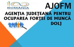 Peste 3.700 persoane angajate prin Programul Judeţean de Ocupare a Forţei de Muncă