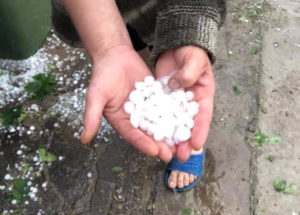 1A6E6FEE-B6AB-40F7-9458-20B0BBE017CD