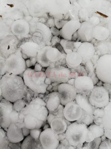 2388E5D9-16B5-41F8-BB0D-0F05CCB115A1