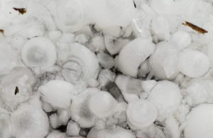 Calafatul, devastat de grindină