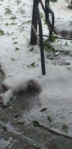 4BB45888-9E8E-4246-87A2-7992B32FB025