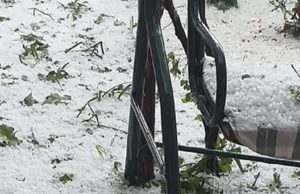 Grindina a pus totul la pământ! Covor de gheaţă aşternut asupra României!