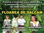 SPECTACOL – DESA – 2 IUNIE