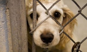 7C0084BF-9D44-414D-BD75-8372A7D9447A