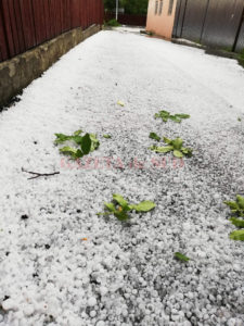 B75F45EC-A6F6-43D2-B854-9E20FA418D87