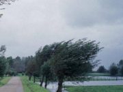 NEWS ALERT: O altă informare de vreme rea este în vigoare până luni dimineață.