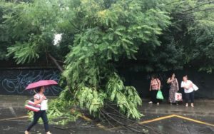 0198101E-4A3E-4225-BC72-4FD13A271B1E