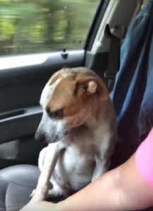 1547FDE3-B95E-4147-8B95-9149FD98B1DB