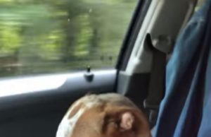 Câinele mulţumeşte pentru că a fost salvat şi noua sa proprietară începe să plângă