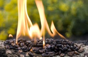 EXPERIMENTUL care face înconjurul lumii. Ce se întâmplă dacă dai foc la cafea boabe sau măcinată. O să vrei să încerci şi tu!