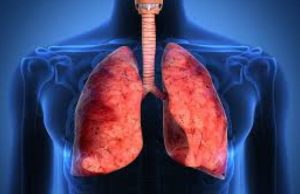 Descoperirea poate da peste cap teorii însușite de zeci de ani de lumea medicală.