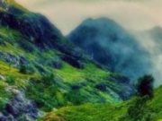 Adio nesimtiti în trafic: 2500 de lei amendă pentru aruncarea gunoiului pe geam