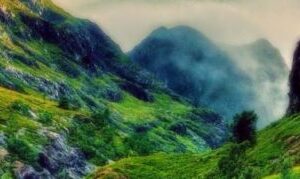 Adio nesimtiti în trafic: 2500 de lei amendă pentru aruncarea gunoiului pe geam