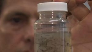 49BBEEE9-5154-4134-B8FB-58DEAF1C0345