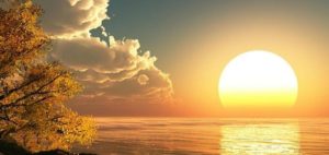 57B68075-236F-428A-AAEB-3FF2FEB34899