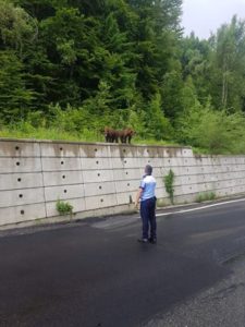 5C079ABD-0D14-42D8-94B9-05F1FA236838