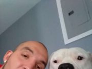 Bărbatul şi-a pus mașina la vânzare ca să facă rost de bani pentru a salva viața câinelui său