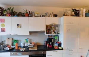 Tu găseşti pisica din imagine? TESTUL peste care nu a trecut nimeni!