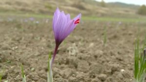 718A6473-4EAC-4CF5-8588-08E4E22925AE