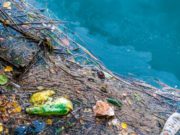 Disperată de ce aruncă românii în wc, compania de apă a Bucureștiului face apel la cetățeni să fie civilizați