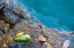 Disperată de ce aruncă românii în wc, compania de apă a Bucureștiului face apel la cetățeni să fie civilizați