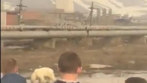 98A7879A-2DB4-42C5-8561-8691D8BD5F26