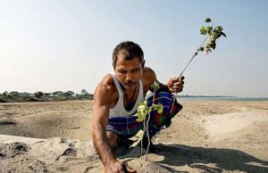 Bărbatul care a transformat deşertul în pădure, plantând copaci timp de 40 de ani