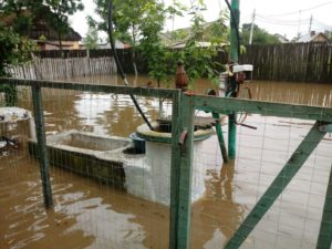 9A3EFF59-5836-4A53-8796-E3FE3CE9D576