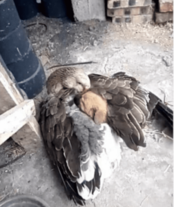 9B5B1C5A-CC27-4E88-B23B-CE44CDF9DFDC