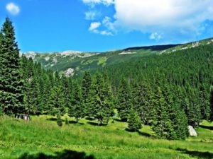 9E1CF607-A368-41C1-905B-8FE4557AE112